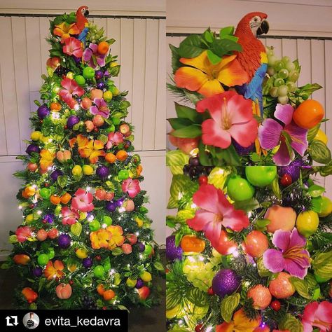 Love this! Share your Margaritaville-inspired holiday decorations with us using #margaritaville! (#Repost by @evita_kedavra) ・・・ The Green's 2016/17 Christmas tree! Proudly brought to you by my ridiculousness and liberal ideas of what constitutes "Christmas" decorations 🍇🍓🍉🍒🍏🍑🍎🍋🍍🍉 Tropical Christmas Tree, Hawaiian Christmas Tree, Tropical Christmas Decorations, Tropical Christmas Trees, Outdoor Christmas Decor Ideas, Tropical Outdoor, Beach Christmas Decorations, Floral Christmas Tree, Hawaii Christmas