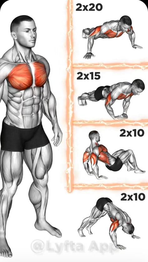 Full Leg Workout, Chest Workout Routine, Pilates Workout Plan, Workout Program Gym, Best Gym Workout, Gym Workout Planner, Bodybuilding Workout Plan, Gym Workout Chart, Gym Workouts For Men