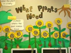 sunflower bulletin board Plant Lessons, Science Bulletin Boards, Summer Bulletin Boards, Spring Bulletin, Plants Unit, Spring Kindergarten, Plant Activities, School Displays, Board Wall