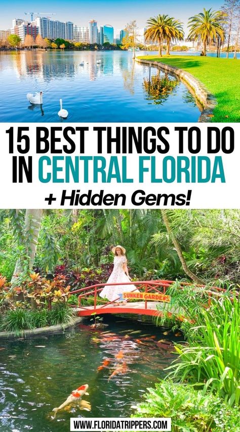 Best Things To Do In Central Florida (+ Hidden Gems!) Florida Bucket List, Florida Vacation Spots, Davenport Florida, Florida Travel Destinations, Florida Family Vacation, Florida Travel Guide, Florida Adventures, Road Trip Places, Orlando Travel