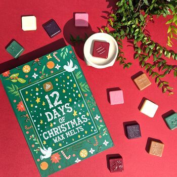 Frosted Berries, Christmas Wax Melts, Wax Melt Burner, Mistletoe Kiss, Christmas Scents, Scented Wax Melts, 12 Days Of Christmas, Scented Wax, Christmas Candles