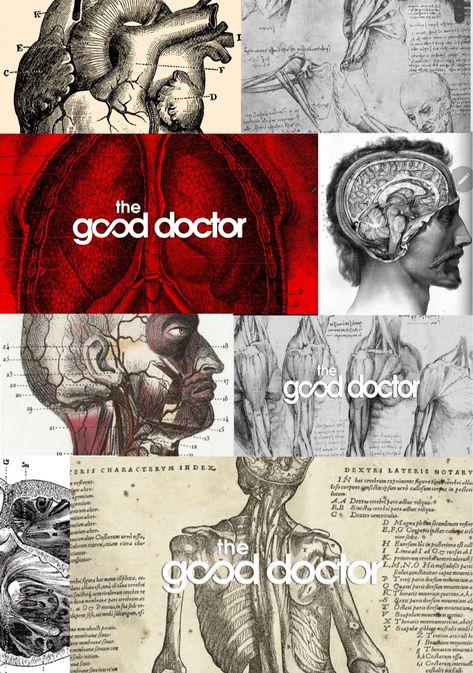 The good doctor The Good Doctor Wallpaper Aesthetic, The Good Doctor Fanart, Pathology Wallpaper, The Good Doctor Poster, Good Doctor Wallpaper, Med School Student, Good Doctor Series, The Good Dr, Medical Poster