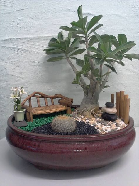 Miniature Garden Decor, Fairy Garden Pots, Indoor Fairy Gardens, Mini Zen Garden, Succulent Garden Design, Fairy Garden Designs, Succulent Garden Diy, Mini Gardens, Mini Fairy Garden