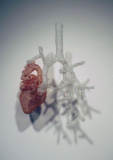 Anatomical Heart Art, Anatomical Art, Wire Knitting, Peacock Wall Art, Creation Art, Wire Crochet, Art Curriculum, Wire Sculpture, University Of Michigan