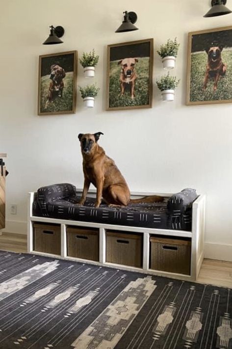 Studio Apartment Ideas With Dogs, Ikea Dog Room, Shelf With Dog Bed, Diy Dog Bedroom Ideas, Dog Bed Storage Ideas, Dog Bed In Living Room Ideas, Small Dog Areas Inside, Dog Corner Apartment, Entryway Dog Station