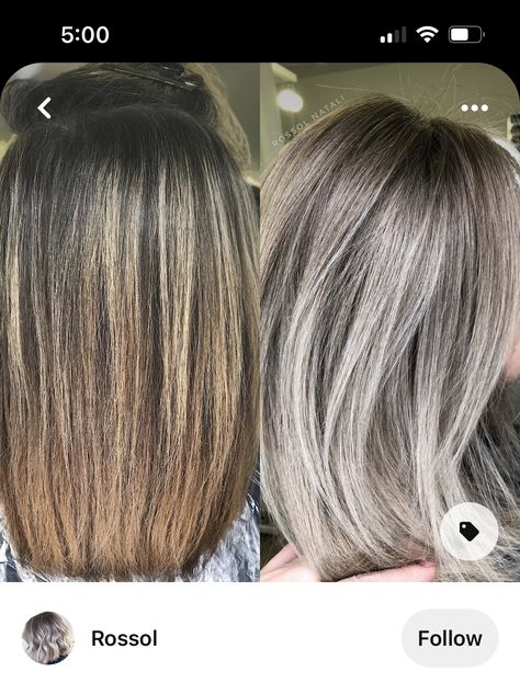 Lowlights To Blend Grey, Blonde Highlights Hide Gray, Dark Blonde Gray Hair, Blending Grey Hair With Highlights And Lowlights, Light Smokey Ash Brown Hair, Dark Blonde Gray Hair Color Ideas, Ash Brown Base With Blonde Highlights, Gray Highlights On Light Brown Hair, Dark Blonde Hair With Silver Highlights