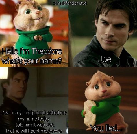 Damon salvatore meme Damon Salvatore Quotes, Pride And Prejudice And Zombies, Michael Malarkey, Vampire Diaries Memes, The Fates, Vampire Diaries Damon, Vampire Diaries Funny, Paul Wesley, Stefan Salvatore