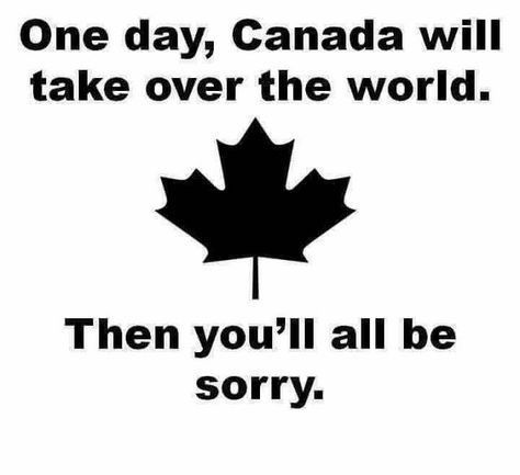 Canadian Memes, Canada Memes, Canadian Humor, Meanwhile In Canada, Canadian Things, I Am Canadian, Canada Eh, Best Funny Photos, Canada Day