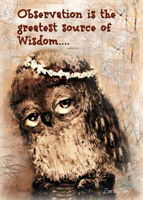 Agreed Owl Quotes, Owl Wisdom, Owl Artwork, Tattoo Animal, Trendy Tattoo, Owl Pictures, Animal Spirit, Owl Art, Good Thoughts Quotes