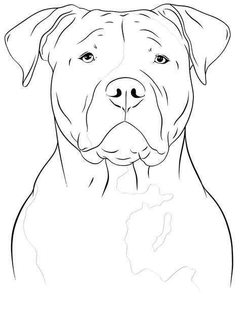 American Bully Drawing, American Bully Tattoo, Bully Drawing, Bully Xl, Tattoos For Women Half Sleeve, Bully Dog, American Bully, Dog Drawing, Tattoo Design Drawings