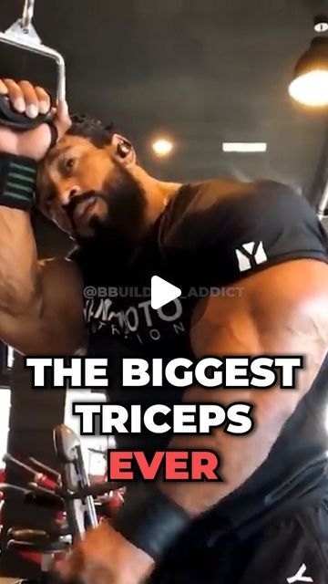 Tricep Workout Men, Tricep Dumbbell Workout, Workout For Men, Triceps Workout Gym, Tricep Workout Gym, Best Bicep Workout, Arm Workout Men, Back Workout Bodybuilding, Tricep Exercises