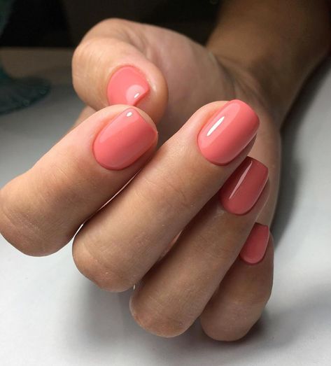 Part of the NEW 2019 Tropico Collection - A bright coral with a subtle silver shimmer. This lush tropical collection inspired collection of bright cheerful colors for spring and lovely neutrals. Award Winning Gel Polish! This incredible 100% pure colored gel is created by Akzentz amazing team of chemists to be completely solvent free, long lasting and easily applied! This unique formula provides numerous benefits: Easy Application - The product is not runny so it stays where you apply it. Odor F Pink Nails Summer 2024, Short Coral Nails, Classic Summer Nails, Coral Spring Nails, Coral Gel Nails, Baby Boomer Nails, Classy Nail Art Ideas, Dream Ideas, Opi Nail Colors