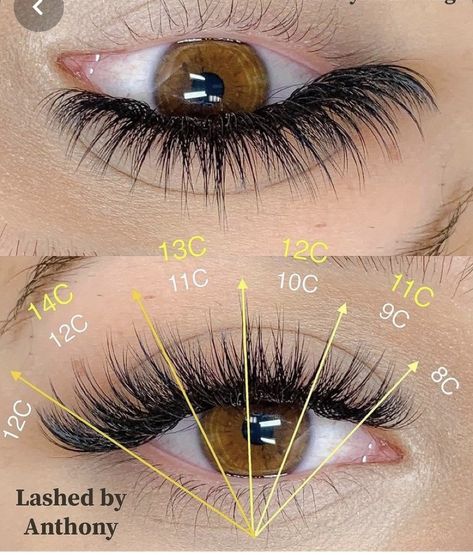 Hybrid Wispy Eyelash Extensions Cat Eye Mapping, Eyelash Extensions Mapping, Eyelash Lift And Tint, Eyelashes Tutorial, Natural Fake Eyelashes, Lash Extentions, Lashes Tutorial, Lashes Fake Eyelashes, Eyelash Tips