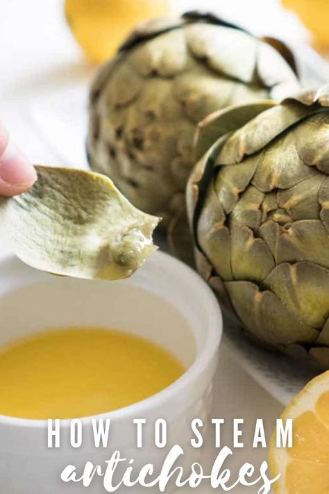 How to cook an artichoke. Once you try a steamed artichoke you'll be converted-this is one of my favorite vegetable recipes to make! (If you can even call it a recipe!!) Steamed Artichoke Recipes, Steamed Artichoke, Steam Artichoke, How To Cook Artichoke, Wine Blog, Food Innovation, Artichoke Recipes, Easy Veggie, Cooking 101