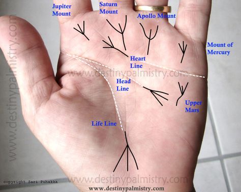 Hand Lines Meaning, Palm Lines Meaning, Palm Reading Lines, Palm Reading Charts, Palmistry Reading, Palm Lines, Palm Reader, Face Reading, Hand Lines