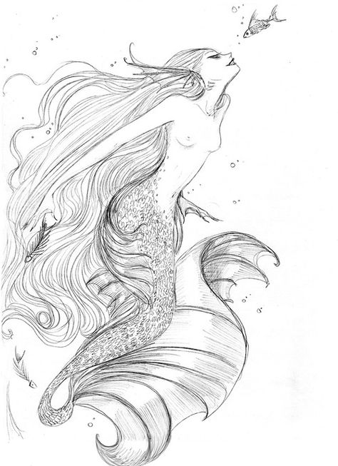 Evil Siren Drawing, Siren Sketch, Evil Mermaids, Mermaid Sketch, Mermaid Tattoo Designs, Angel Wings Art, Seahorse Art, Mermaid Artwork, Mermaid Drawings