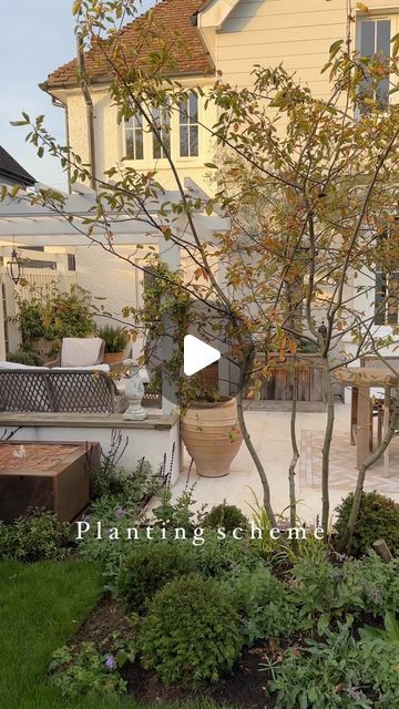 Debbie Harris on Instagram: "The leaves are starting to turn a gorgeous colour and I promised to share the details of what I have recently planted up in these beds (ready to fill out and come to life next Spring). I hope I have covered off varying heights and interest for each season but I will review over the next 12 months and adapt accordingly if need be but 🤞 it looks beautiful.  Trees - Amelanchier Lamarckii (sourced from @formplants )  Plants (various multiples of): Taxus baccata balls for all year round structure (more expensive than buxus but no caterpillar blight problems to which I lost all my last ones) Hakonechloa macra Ballota pseudodictamnus Nepeta racemosa Walker’s Low Roxanne geranium  Geranium white Kashmir  Salvia caradonna Oenothera lindheimeri Verbascum Violeta   And I Amelanchier Lamarckii, Taxus Baccata, Tulip Bulbs, I Promise, Geraniums, Water Features, Garden Plants, Tulips, Garden Design