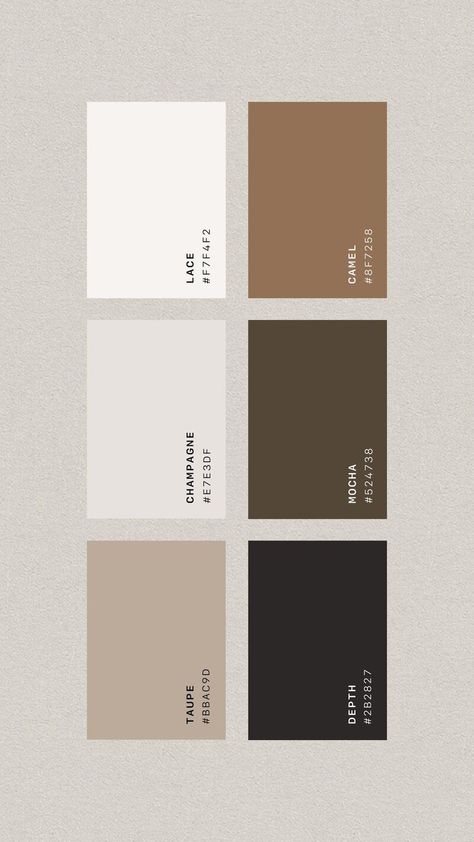 Soft Luxury Color Palette, Modern Transitional Color Palette, Luxury Color Palette For Website, Natural Hair Color Palette, Luxury Minimalist Color Palette, Luxury Clothing Brand Color Palette, Neutral Color Swatches, Luxury Real Estate Color Palette, Neutral Minimalist Color Palette