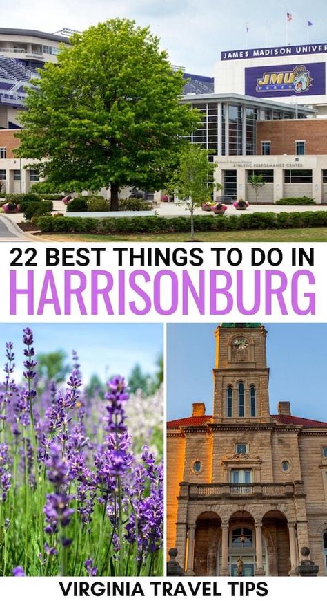 24 Fun Things to Do in Harrisonburg, VA (+ Travel Tips!) Harrisonburg Virginia, Best Places To Vacation, Retirement Travel, Virginia Travel, Family Vacay, Virginia Is For Lovers, Ticket To Ride, Awesome Things, Coffee Shops