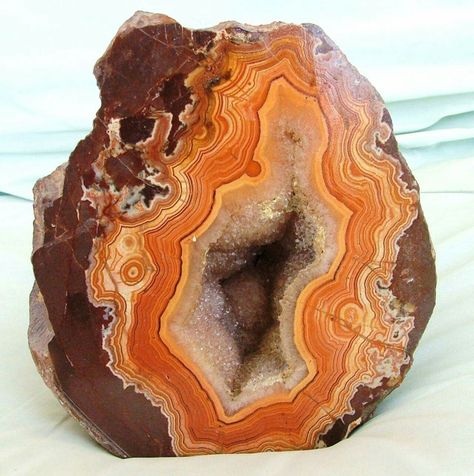 Stunning Banded orange Agate Geode!  Amazing Geologist Crystal Castle, Orange Agate, Orange Crystals, Cool Rocks, Crystal Geode, Agate Geode, Rock Collection, Minerals And Gemstones, Banded Agate