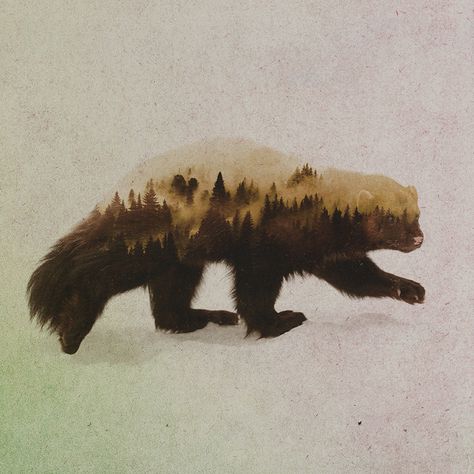 Gestalten | 10 Questions with Andreas Lie Wolverine Animal, Double Exposure Portrait, Double Exposition, Watercolor Animals, Double Exposure, Watercolor Print, Classic Art, Canvas Size, Habitat