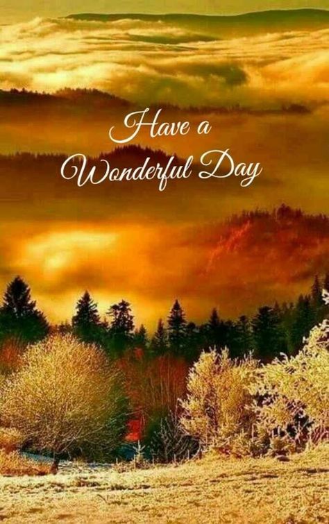 Fall Daily Greetings 🙏 Fall Good Morning, Good Morning Fall Images, Good Morning Fall, Wonderful Day Quotes, Morning Thought, Morning Magic, Fall Pics, Beautiful Good Morning, Good Morning Images Download