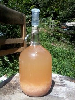 Next spring will be the grand opening of Bunny Run Winery with our first batch of peach wine.  The peaches were delicious this year just not enough of them. @Lauren Graves How to make peach wine...homemade peach wine recipe. Peach Wine Recipe, Wine Making Recipes, Homemade Wine Recipes, Mead Recipe, Peach Wine, Homemade Alcohol, Wine Basket, Homemade Liquor, Wine Recipe