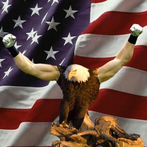 FREEDOM!!! America Memes, Patriotic Pictures, I Love America, An Eagle, God Bless America, Really Funny Pictures, Going Home, Best Photos, Funny People