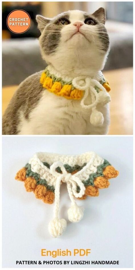 Crochet Cat Collar, Collar Patterns, Easiest Crochet, Crochet Dog Clothes, Crochet Cat Hat, Crochet Design Pattern, Crochet Collar, Fun Crochet Projects, Crochet Dog