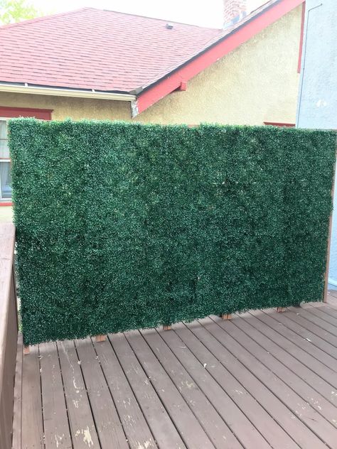 Diy Boxwood Wall, Inexpensive Privacy Fence, Faux Boxwood Wall, Inexpensive Privacy Fence Ideas, Wall With Shelves, Patio Ideas Townhouse, Boxwood Wall, Porch Privacy, Outdoor Deck Decorating