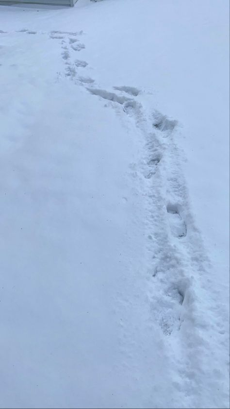 Aesthetics Blood Snow, China Snow Aesthetic, Sunny Snowy Day Aesthetic, Paw Prints In Snow, Animals In Snow Aesthetic, Fake Snow, Snow Girl, Snow Angel, Snow Angels