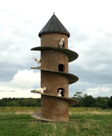 Tours available by appointment: 2174592337. Jack Cloe erected a tower specifically for the bearded animals. the Findlay Illinois Goat Tower keeps the goats happy and passersby amused. Goat Tower, Anglo Nubian Goats, I Know A Place, Goat House, Silo House, Goat Farming, Water Tower, Silly Pictures, Stone Houses