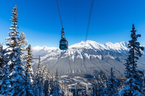 Is the Banff Gondola in winter worth it? - Wapiti Travel Banff Christmas, Banff Hot Springs, Banff Gondola, Abraham Lake, Things To Do In Banff, Winter Park Colorado, Fairmont Banff, Johnston Canyon, Spring Skiing