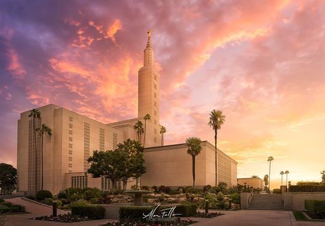 1,385 Likes, 8 Comments - LDS Temples by Alan Fullmer (@ldstemplephotos) on Instagram: “*Los Angeles California Temple* “I am asking that we stop seeking out the storms and enjoy more…” Los Angeles Temple, Yongsung Kim, Temple Images, Lds Temple Pictures, Lds Memes, Temple Lds, Mormon Temples, Images Of Christ, Temple Pictures