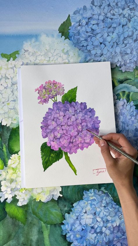 Watercolor Hydrangea Step By Step, Hydrangea Watercolor Painting, Watercolor Guide, Watercolor Hydrangea, Hydrangea Bush, Watercolor Blog, Step By Step Watercolor, Botanical Watercolor, Watercolour Tutorials