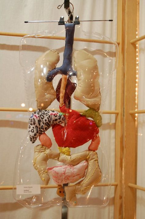 Life Size Fabric Digestive System Plushy Organ Art Sculpture with Plastic Torso Form Human Body Installation Art, Organ Sculpture, Anatomical Fashion, Organs Art, Organ Art, Cooper Union, Deco Room, Apron Design, Systems Art