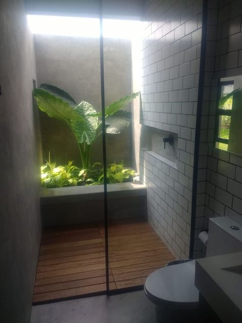 Bathroom Garden Ideas, Shower With Plants, Bathroom Ideas With Plants, Big Living Room, Ideas Baños, Indoor Outdoor Bathroom, Casa Cook, Outdoor Bathroom Design, Open Bathroom