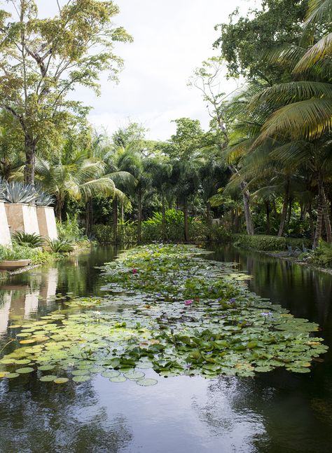 Dreaming of Dorado Beach - Allyson in Wonderland Ritz Carlton Dorado Beach Puerto Rico, Resorts In Puerto Rico, Dorado Puerto Rico, Beach Puerto Rico, Luxury Resorts, Ritz Carlton, Luxury Resort, Puerto Rico, Travel Blogger