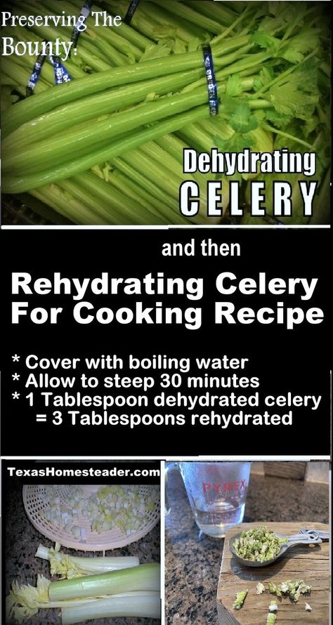 Dehydrate Celery For Food Storage and Rehydrate For Cooking Use. ~ Texas Homesteader ~ Preserve Celery, Dehydrating Celery, Dehydrate Celery, Dehydrated Celery, Dehydrating Food Storage, Dehydrated Vegetables, Country Recipes, Recipe Cover, Dehydrated Fruit