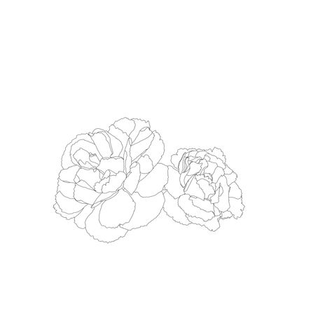 Line Art Carnation, Fine Line Carnation, Carnation Line Art, Fine Line Carnation Tattoo, Carnation Outline, Carnation Flower Tattoo, Carnation Tattoo, Carnation Bouquet, Hibiscus Tattoo