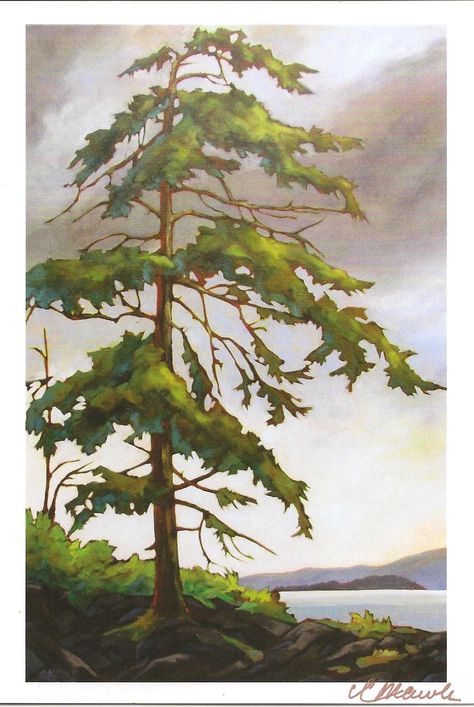 'Holding Strong ' by Cindy Mawle Painting Ideas On Canvas Landscapes, Trendy Painting Ideas On Canvas, Painting Pine Trees, Watercolour Projects, Trendy Painting Ideas, Watercolour Trees, Painting Trees, Bed Art, Trees Painting