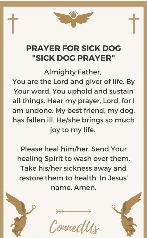 Prayers For Dogs Healing Pets, Prayers For Pets, Prayers For Health And Healing For Pets, Prayer For Sick Dog, Dog Prayer, Prayers For Sick Pets Dogs, Pet Prayers, Blessing Prayers, Difficult Times Quotes