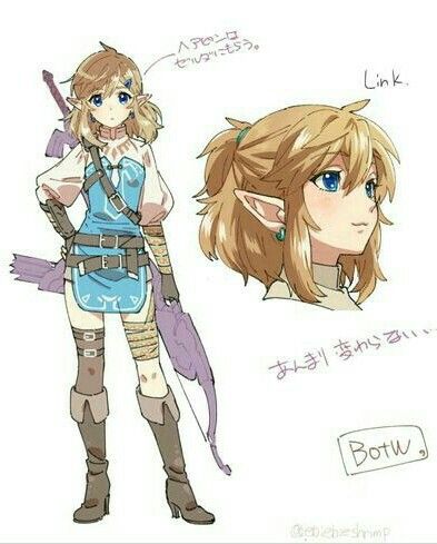 So he’s a girl (her he?) Legend Of Zelda Memes, Link Zelda, Zelda Art, Legend Of Zelda Breath, Anime Meme, The Legend Of Zelda, Fanarts Anime, Art Anime, Splatoon