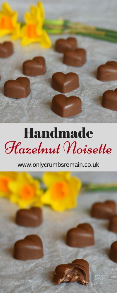 How to make Homemade Hazelnut Noisette Chocolates Chocolate Pralines Recipe, Homemade Chocolate Candy, Homemade Chocolate Truffles, Praline Chocolate, Chocolate Candy Recipes, Chocolate Recipes Homemade, Hazelnut Chocolate, Chocolate Making, Chocolate Candies