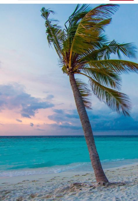 Teal Nature, Beach At Sunset, Landscape Landscape, I Love The Beach, Sky Sunset, Photography Beauty, Photography Landscape, Sunset Sunrise, Ocean Breeze