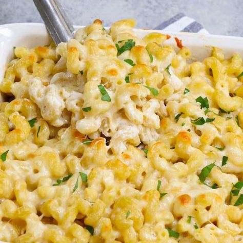 Creamy Baked Cavatappi Pasta (Italian Corkscrew Pasta) Chicken Cavatappi Pasta Recipes, Baked Cavatappi, Cavatappi Pasta Recipes, Easy Chicken Alfredo Pasta, Chicken Alfredo Pasta Bake, Alfredo Pasta Bake, Corkscrew Pasta, Cavatappi Pasta, Baked Chicken Alfredo Pasta