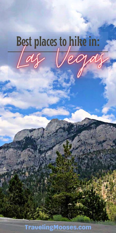 Looking for a fabulous hike in the Las Vegas Area? We have you covered. Read more about the best hikes in Las Vegas from a local! #hikelasvegas #hiking #lasvegas Las Vegas Hiking Trails, Hiking Las Vegas, Vegas Hiking, Las Vegas Itinerary, La Hikes, Los Vegas, Best Hikes, Day Hike, Hiking Trails