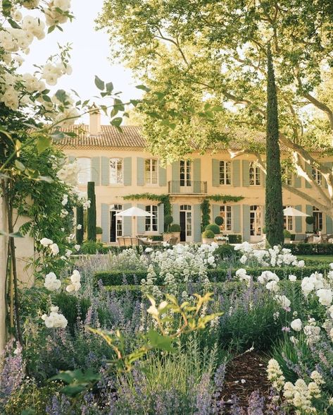 Melissa Penfold, White Home Exterior, White Exterior Houses, Glam Pad, Wooded Landscaping, French Architecture, Casa Exterior, French Chateau, French Country House