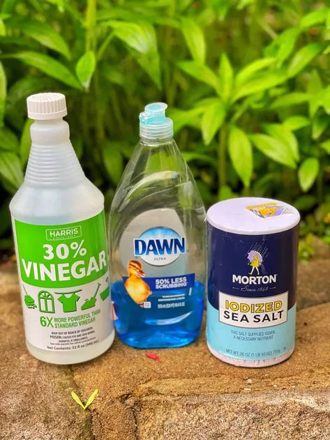 Looking for easy ways to get rid of weeds? Here are 5 easy ways to manage weeds plus a simple recipe for a homemade weed killer that works! Home Made Grass Killer Weeds, Homemade Weedkiller Spray Gallon, Homemade Weedeater, Vinegar For Weeds, Kill Weeds With Vinegar, Crunchy Life, Kill Weeds Naturally, Steam Lab, Killing Weeds