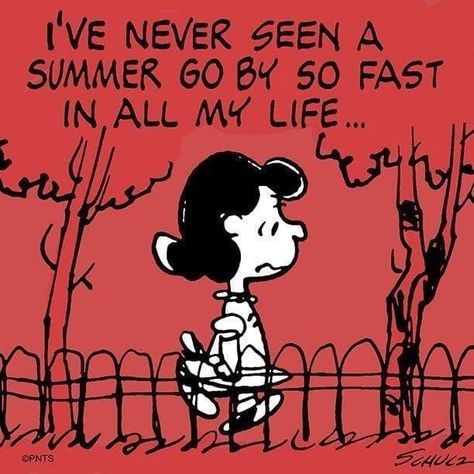 “I’ve never seen a summer go by so fast!”Lucy—Charles Schultz   #summer #summertime #sun #envywear #hot #sunny #warm #fun #beautiful #sky #clearskys #season #seasons #instagood #instasummer #photooftheday #nature #clearsky #bluesky #vacationtime #weather #summerweather #sunshine Summer Snoopy, Woodstock Snoopy, Lucy Van Pelt, Peanuts Cartoon, Peanuts Characters, Snoopy Quotes, Snoopy Pictures, Last Day Of Summer, Snoop Dog